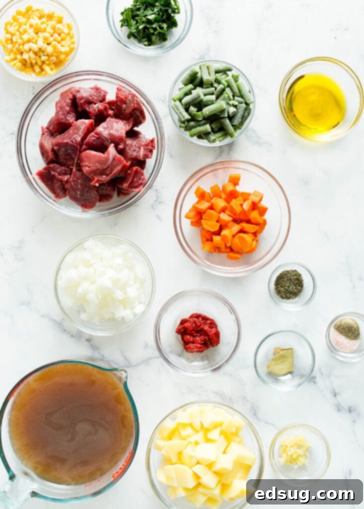 Hearty Instant Pot Beef Vegetable Soup 3 ingredients for vegetable beef soup