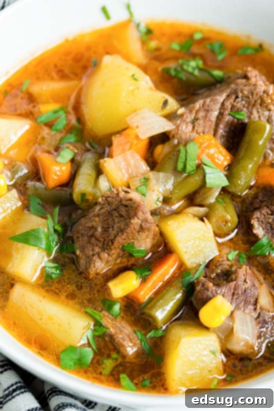 Hearty Instant Pot Beef Vegetable Soup 4 close up vegetable beef soup