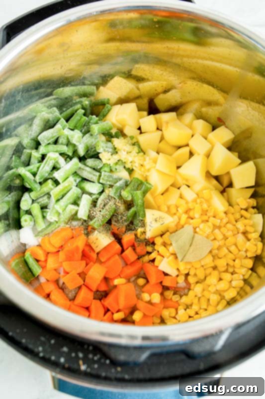 Hearty Instant Pot Beef Vegetable Soup 5 vegetables in the instant pot