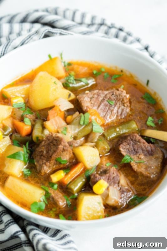 Hearty Instant Pot Beef Vegetable Soup 6 vegetable soup with chunks of beef in a bowl