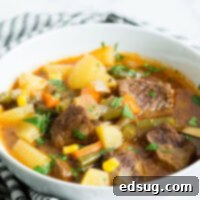 Instant Pot Vegetable Beef Soup - tender beef and vegetables in a hearty and easy to make soup that the whole family will love!
