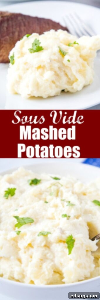 Velvet Smooth Sous Vide Mashed Potatoes 7 close up sous vide mashed potatoes