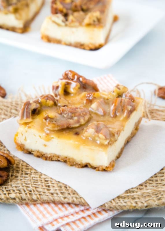 brown sugar cheesecake bars topped with pecan praline