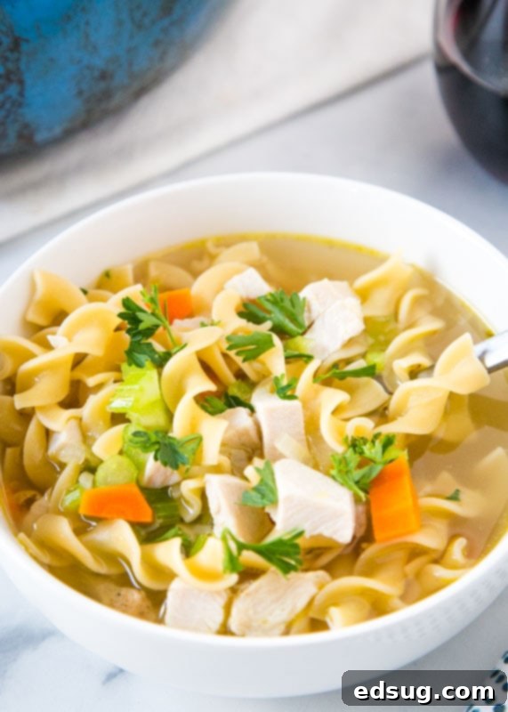 A beautiful bowl of leftover turkey soup, garnished with fresh parsley, ready to be enjoyed.