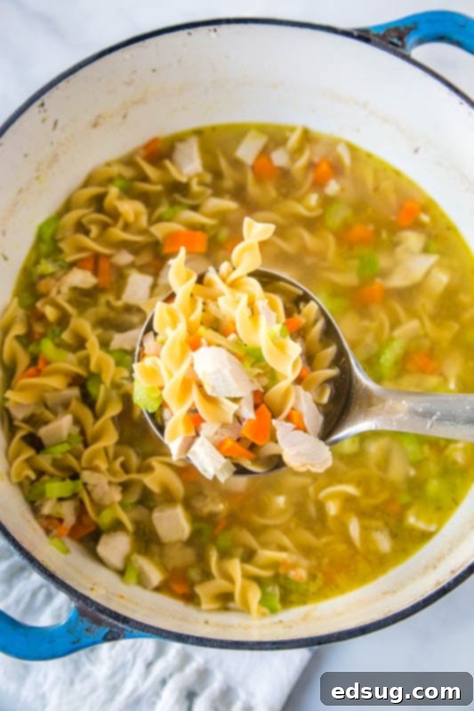A large pot of turkey soup simmering on the stove with a ladle, showing the rich broth and ingredients.