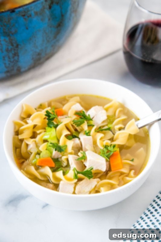 A close-up of a warm bowl of turkey noodle soup with a spoon, showing the tender noodles and turkey pieces.