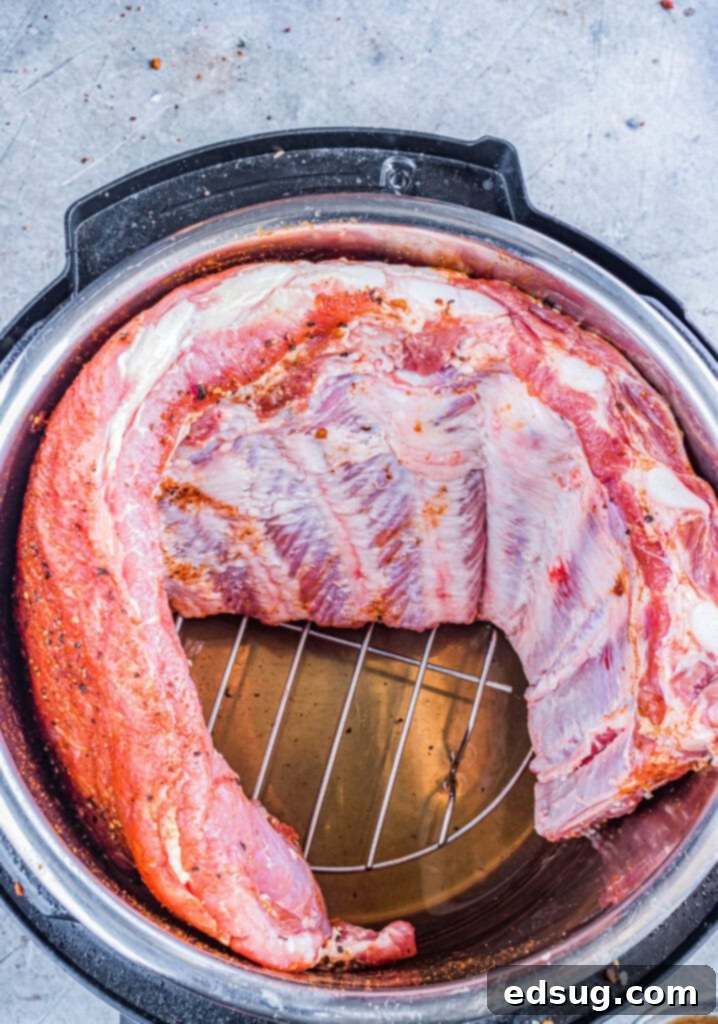 ribs in Instant pot ready to cook