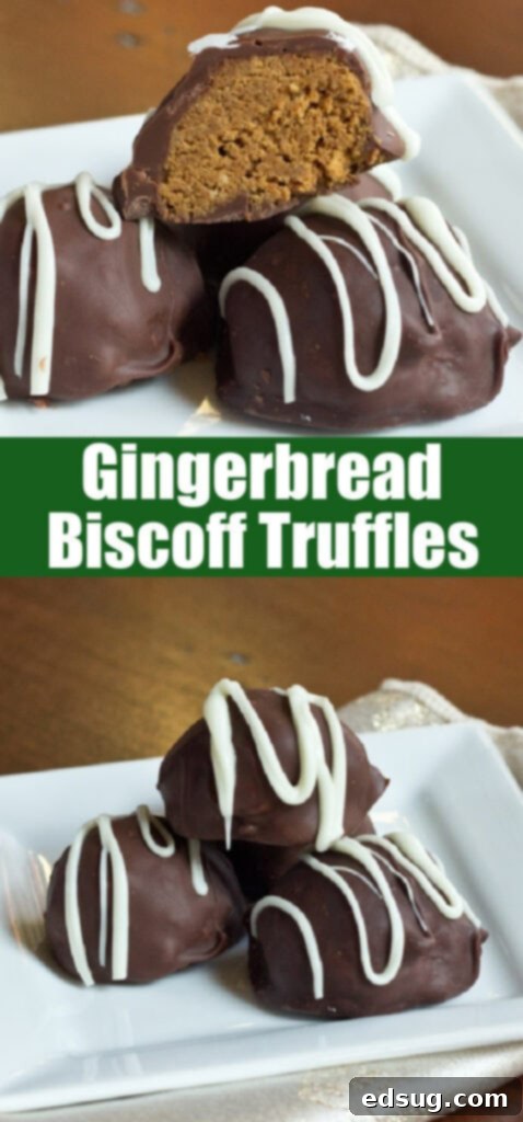 close up gingerbread truffles on a white plate