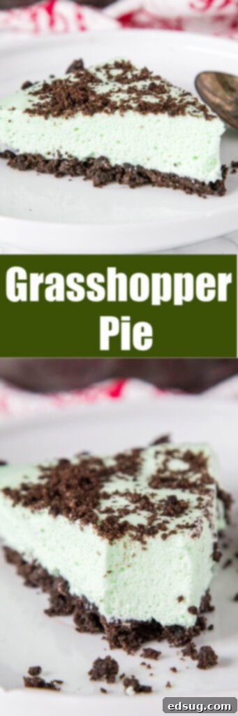 close up slices of grasshopper pie