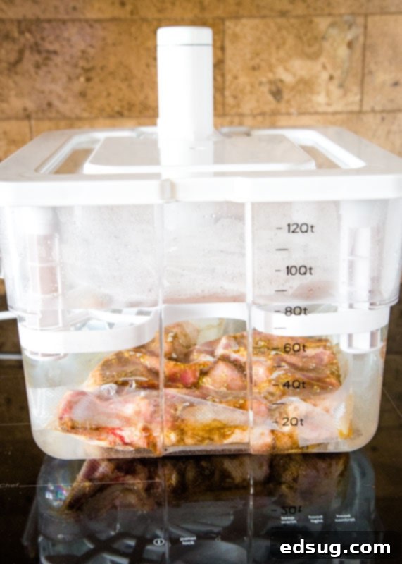 Lamb chops perfectly submerged in a sous vide water bath, gently cooking to ideal tenderness.