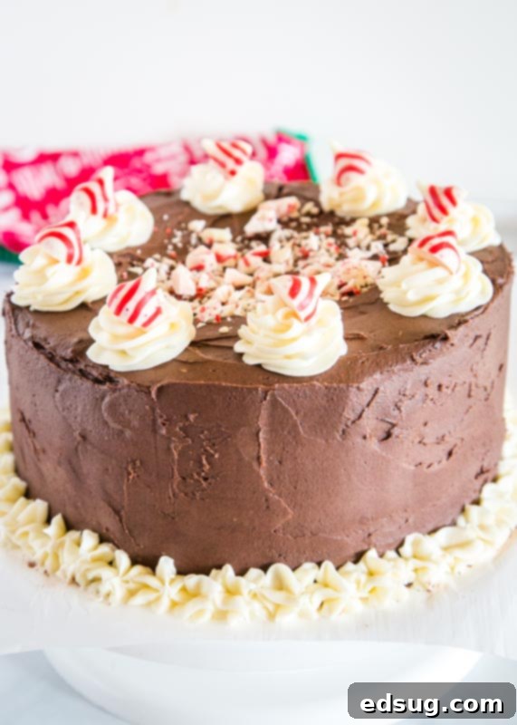A beautifully frosted chocolate cake adorned with white frosting swirls and festive peppermint candy pieces on top, ready for holiday celebrations.