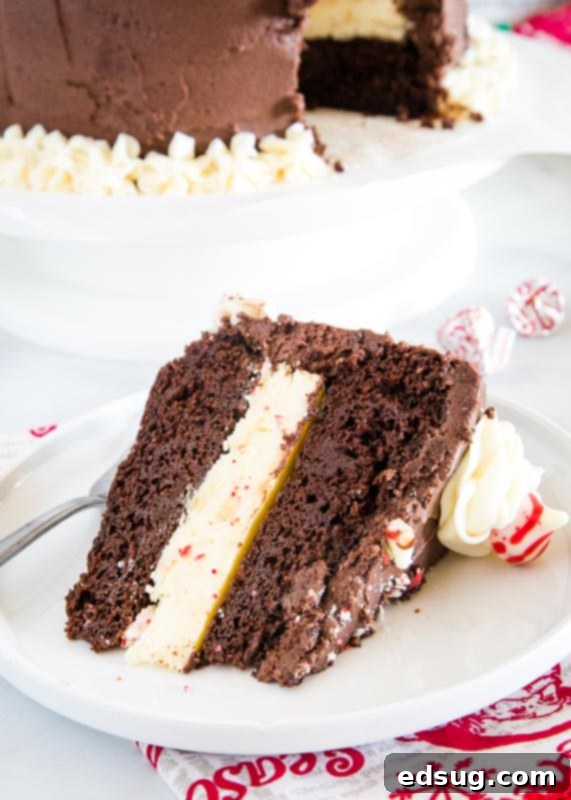 A perfect slice of Chocolate Peppermint Cheesecake Cake on a white plate, showcasing the distinct layers of chocolate cake and peppermint cheesecake with chocolate frosting.