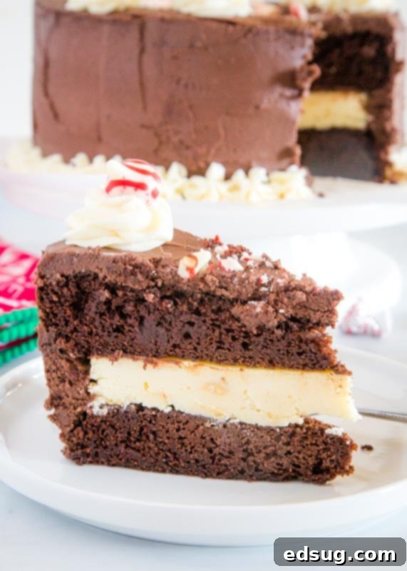 A close-up shot of a delectable slice of Chocolate Peppermint Cheesecake Cake, showing the beautiful layers and inviting texture.
