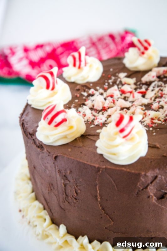 A close-up view of the textured chocolate frosting and festive peppermint candies on top of the Chocolate Peppermint Cheesecake Cake.