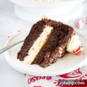 Chocolate Peppermint Cheesecake Cake - Rich chocolate cake with a layer of peppermint cheesecake in the middle and coated in a delicious chocolate frosting. This show stopping dessert will definitely impress during the holidays.