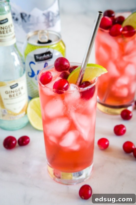 cranberry vodka with ginger beer in a glass