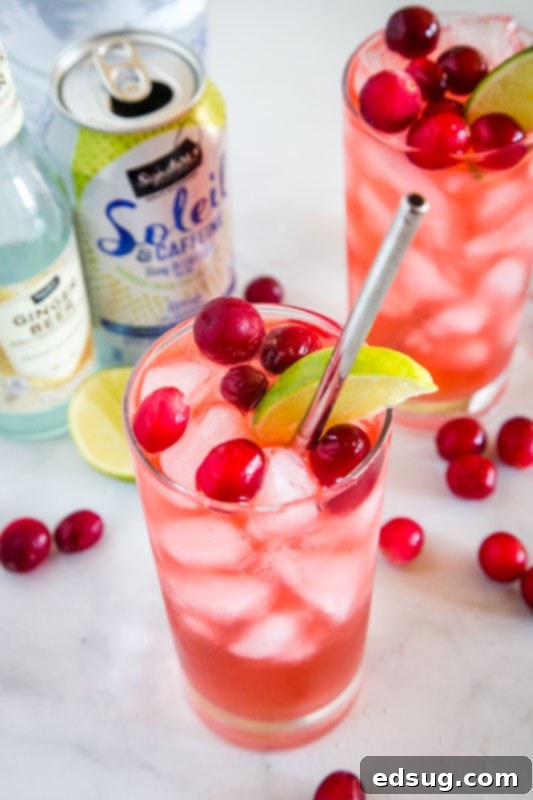 looking down on cranberry cocktail