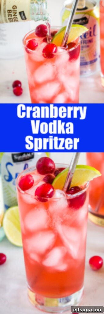 close up cranberry spritzer in glass