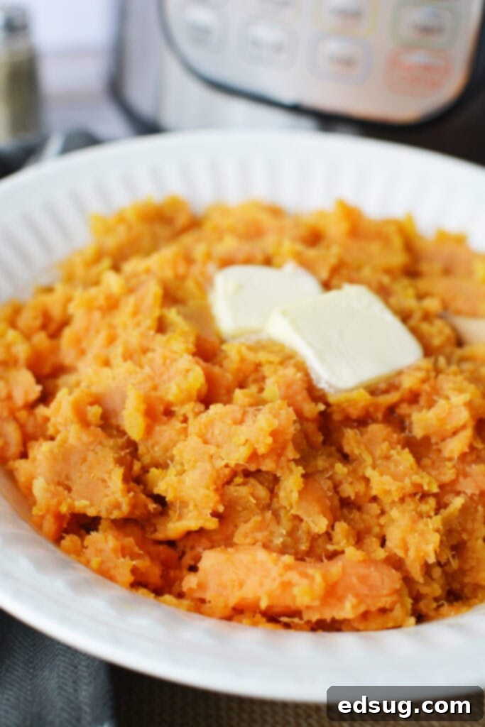 The Easiest Instant Pot Sweet Potatoes 2 Close-up of perfectly mashed sweet potatoes, ready to be served as a side dish or meal base