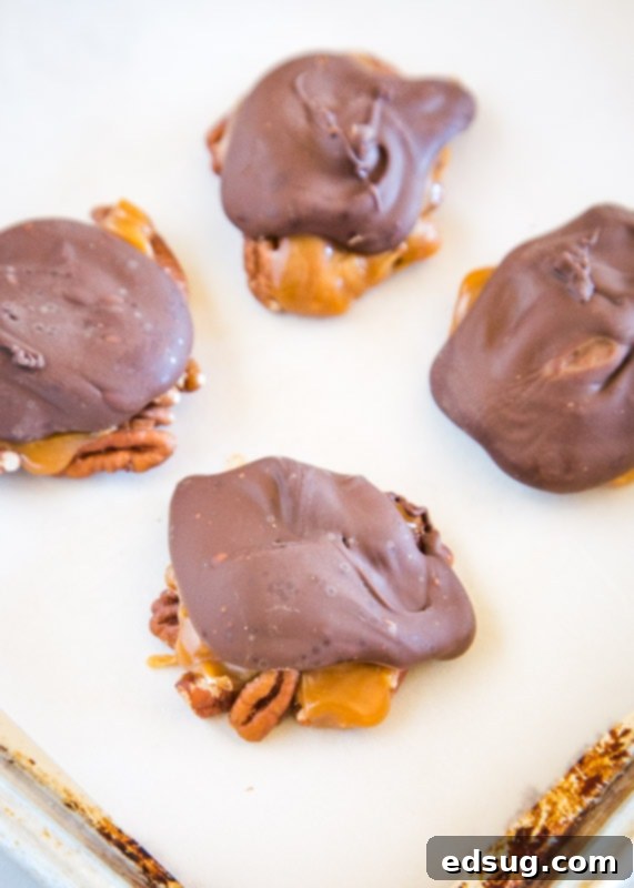 An overhead shot of a tray full of finished homemade Turtle Candy, ready for sharing or enjoying.