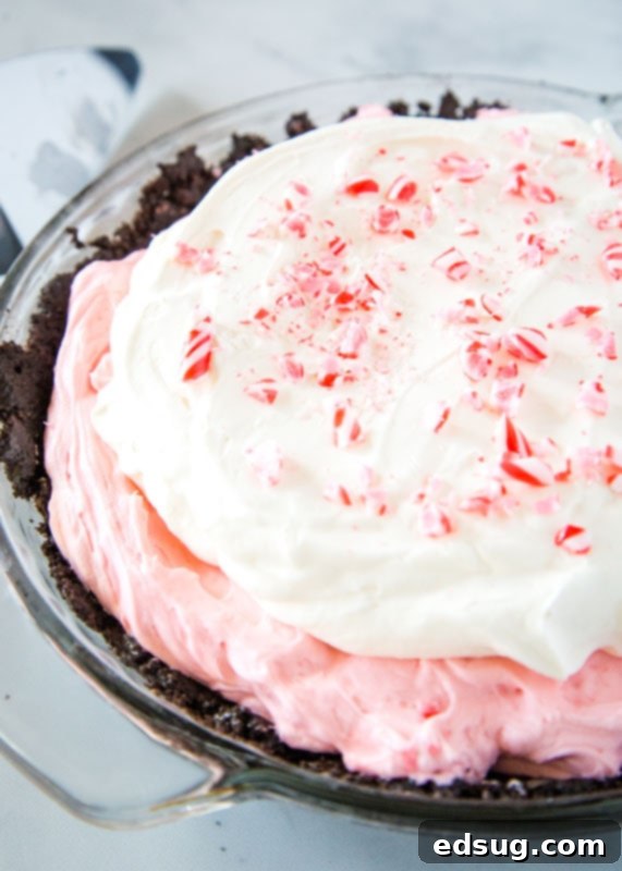 Minter Wonderland Pie 3 A top-down view of a stunning no-bake peppermint cheesecake in a pie plate, ready to be chilled and enjoyed.