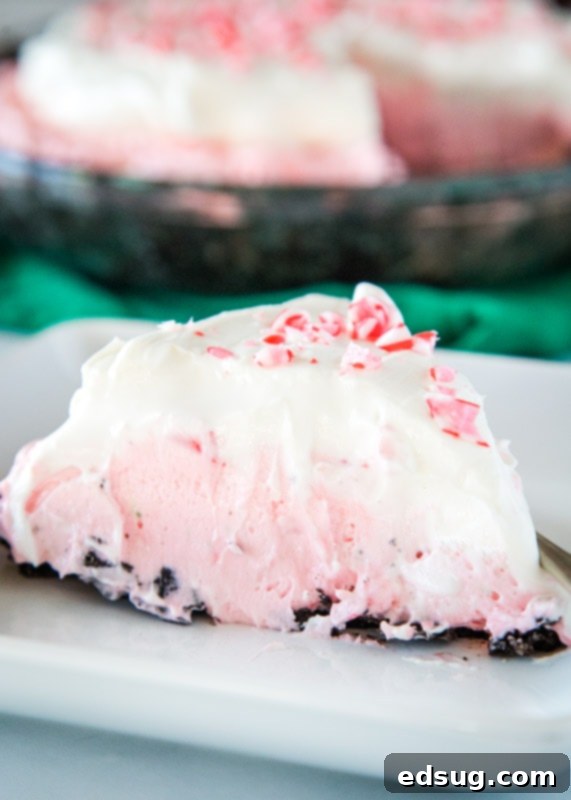 Minter Wonderland Pie 4 A delectable slice of peppermint cheesecake adorned with whipped cream and candy cane bits on a white serving plate.