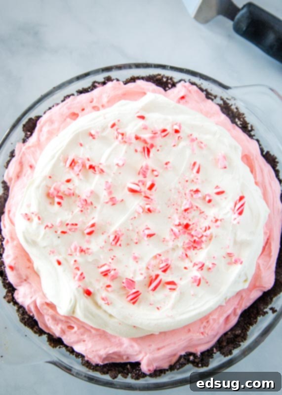 Minter Wonderland Pie 5 A whole no-bake peppermint cheesecake in a decorative pie plate, showcasing its beautiful layers and festive topping.