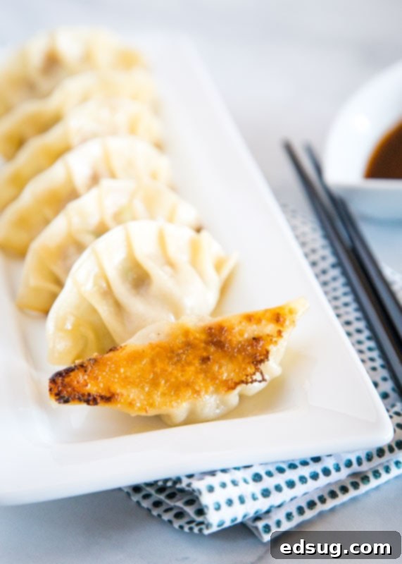Gyoza: Japanese Pan-Fried Dumplings 2 gyoza potstickers on a white plate