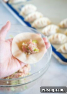 Gyoza: Japanese Pan-Fried Dumplings 11 filling gyoza