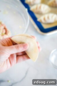 Gyoza: Japanese Pan-Fried Dumplings 12 fold dumpling in half