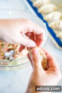 Gyoza: Japanese Pan-Fried Dumplings 13 showing the crease folding on gyoza