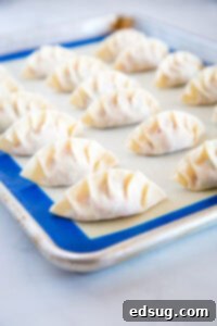 Gyoza: Japanese Pan-Fried Dumplings 14 folding dumplings on a baking tray