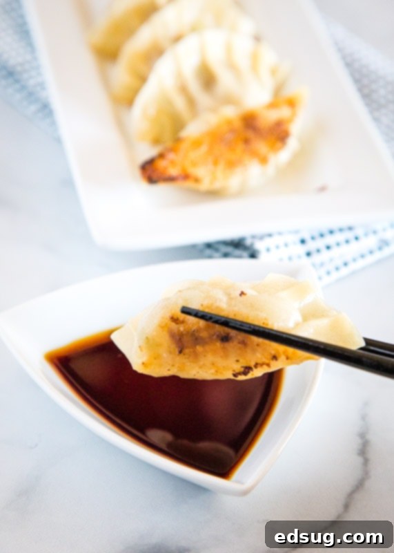Gyoza: Japanese Pan-Fried Dumplings 3 chopsticks holding potsticker to dip in soy sauce