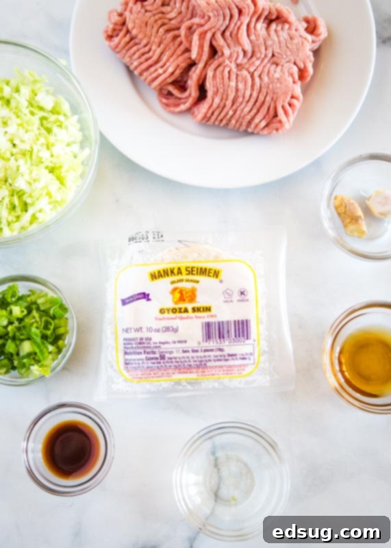 Gyoza: Japanese Pan-Fried Dumplings 5 ingredients to make gyoza