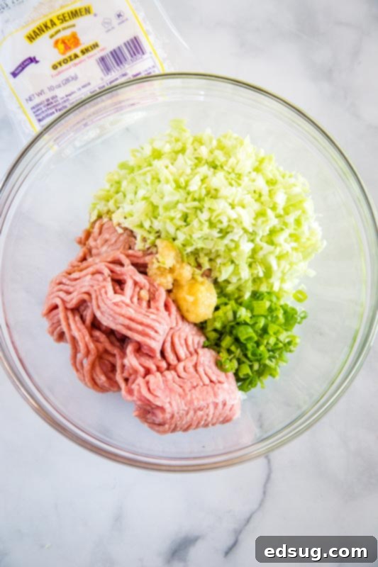 Gyoza: Japanese Pan-Fried Dumplings 6 filling mixture of pork gyoza