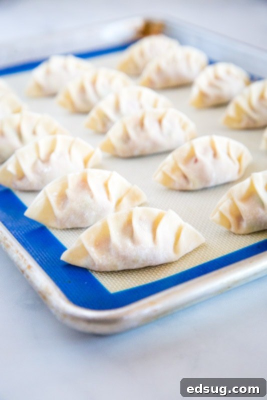 Gyoza: Japanese Pan-Fried Dumplings 7 folding dumplings on a baking tray