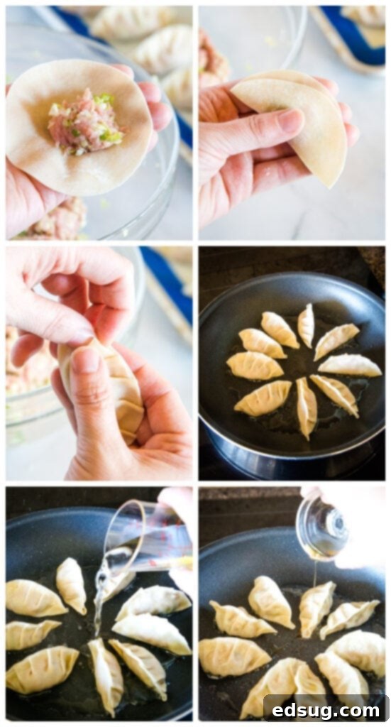 Gyoza: Japanese Pan-Fried Dumplings 8 how to fold and cook gyoza