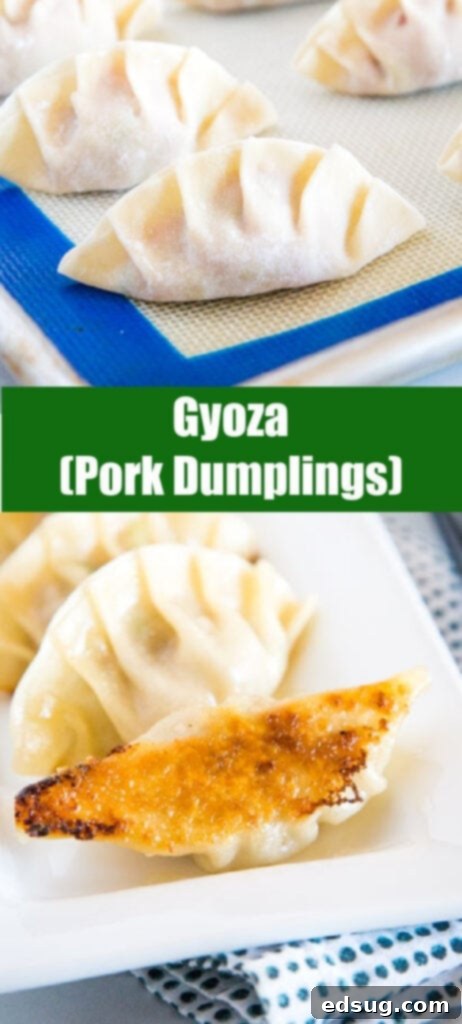 Gyoza: Japanese Pan-Fried Dumplings 9 college of cooked gyoza