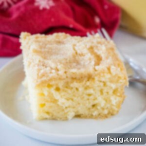 Festive Eggnog Crumb Cake 4 close up slice of eggnog coffee cake on a plate