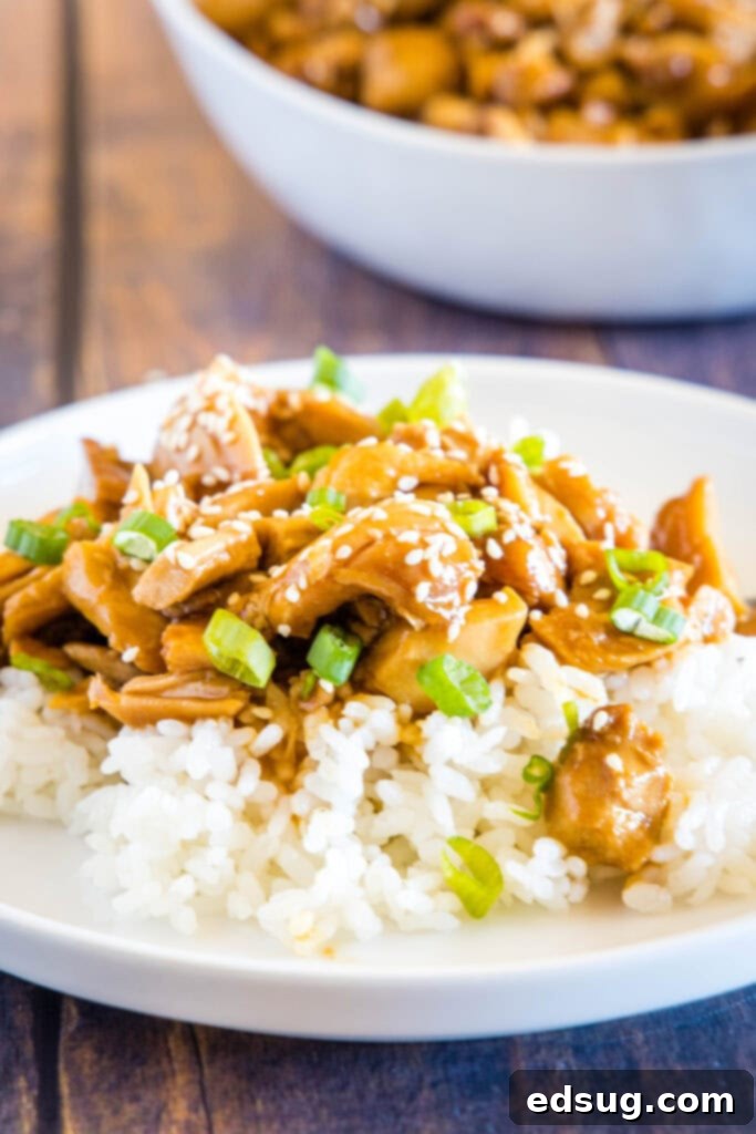 slow cooker teriyaki chicken on plate