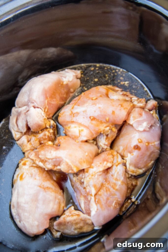 chicken in the crock pot with teriyaki sauce
