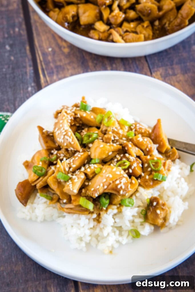 looking down on a plate of chicken teriyaki over rice