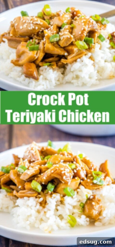 teriyaki chicken collage for pinterest