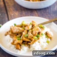 cropped picture of teriyaki chicken on a plate