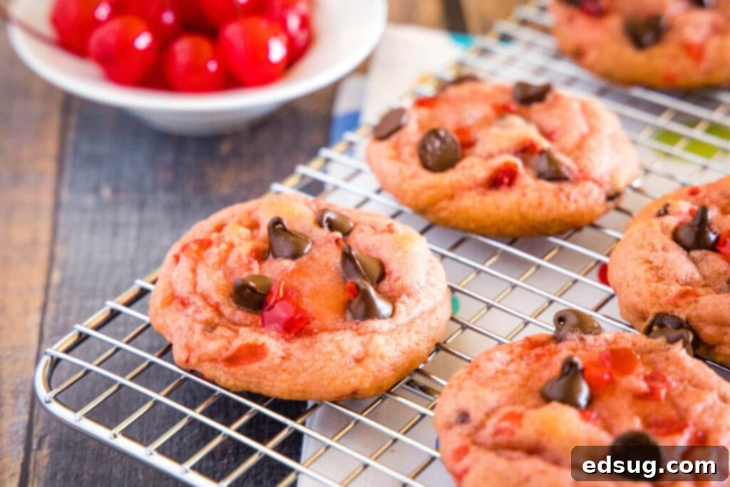 cropped in picture of cookies on a cooling rack