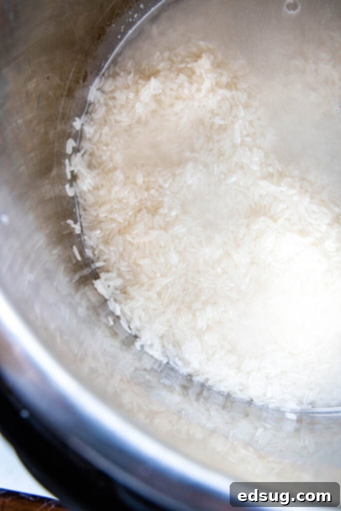 Perfect Instant Pot Jasmine Rice 4 rice and water in the base of the Instant Pot, ready for cooking fluffy jasmine rice