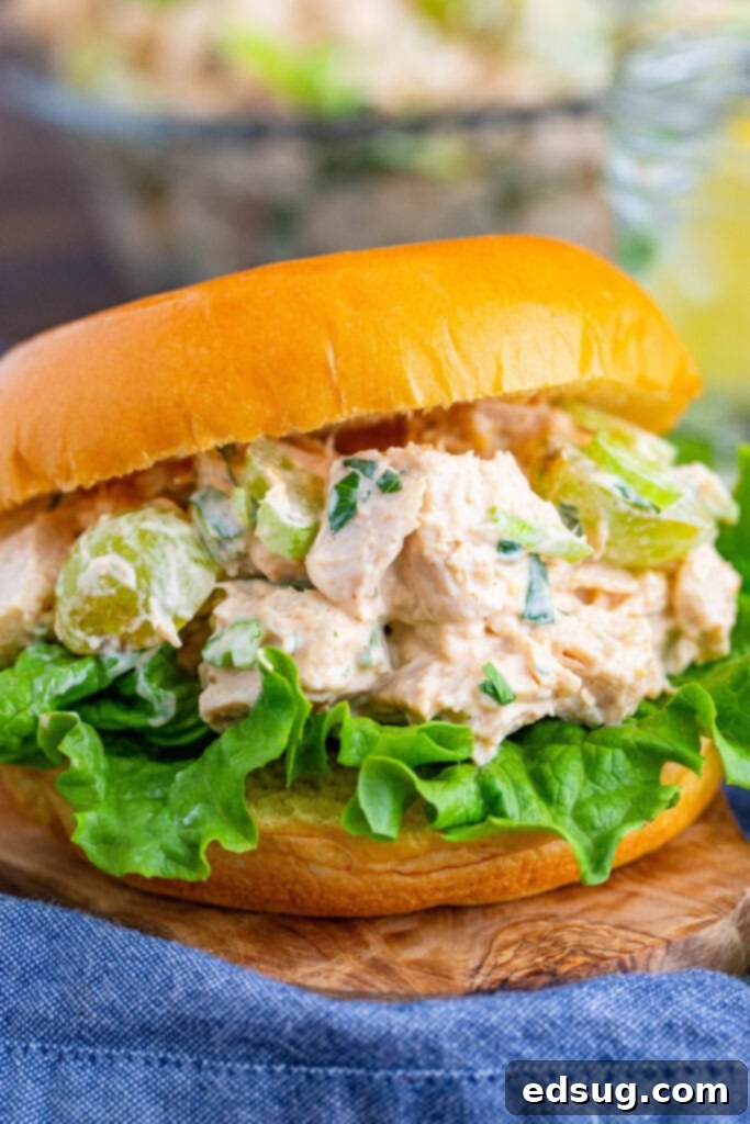 A delicious chicken salad sandwich on a toasted bun, garnished with fresh lettuce and a side of grapes.