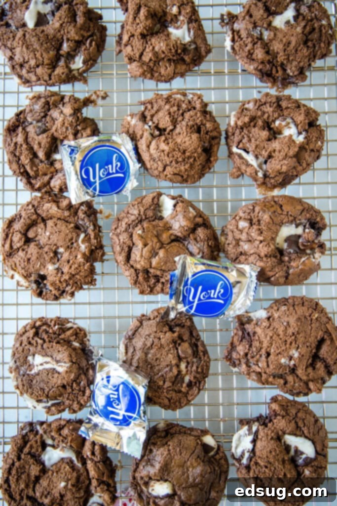 Peppermint Fudge Dreams 2 cooling wrap with peppermint patty cookies