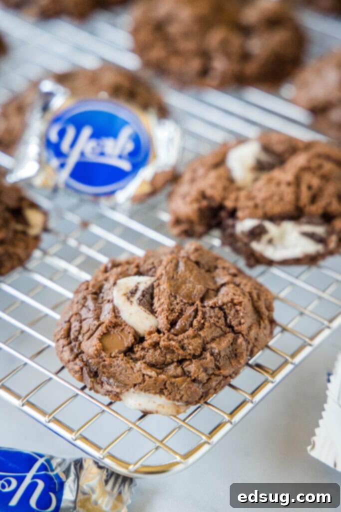 Peppermint Fudge Dreams 6 img 3857 5