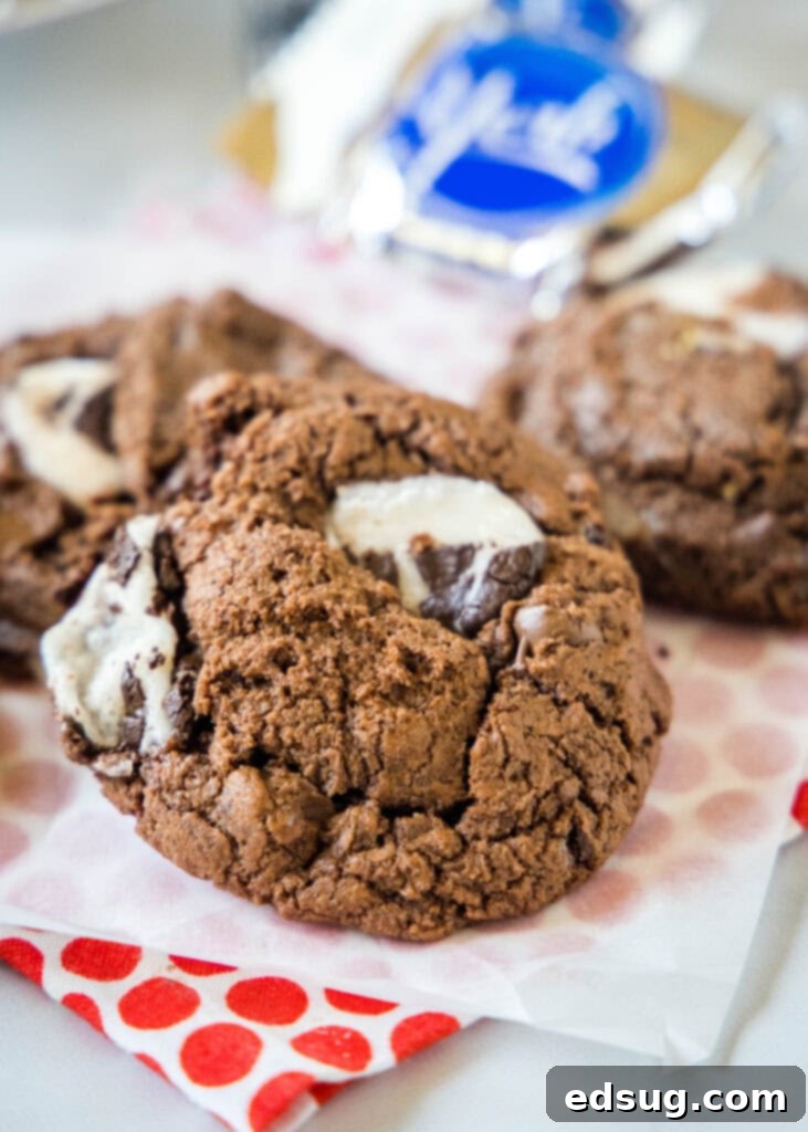 Peppermint Fudge Dreams 8 peppermint patty chocolate cookies on the counter